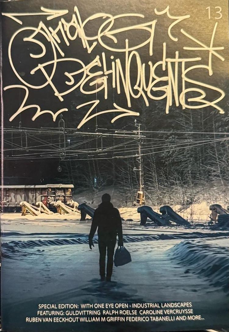 Analog Delinquents 13